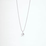 Opal Touch - Alphabet R Rhodium Locket with Chain (18
