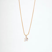 Opal Touch - Alphabet R Two Tone Locket with Chain (18") - Locket Set