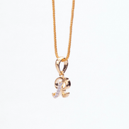 Opal Touch - Alphabet R Two Tone Locket with Chain (18