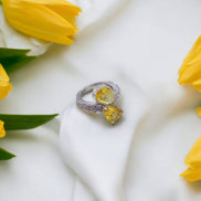 Opal Touch - Ruby Radiance Ring - Ring